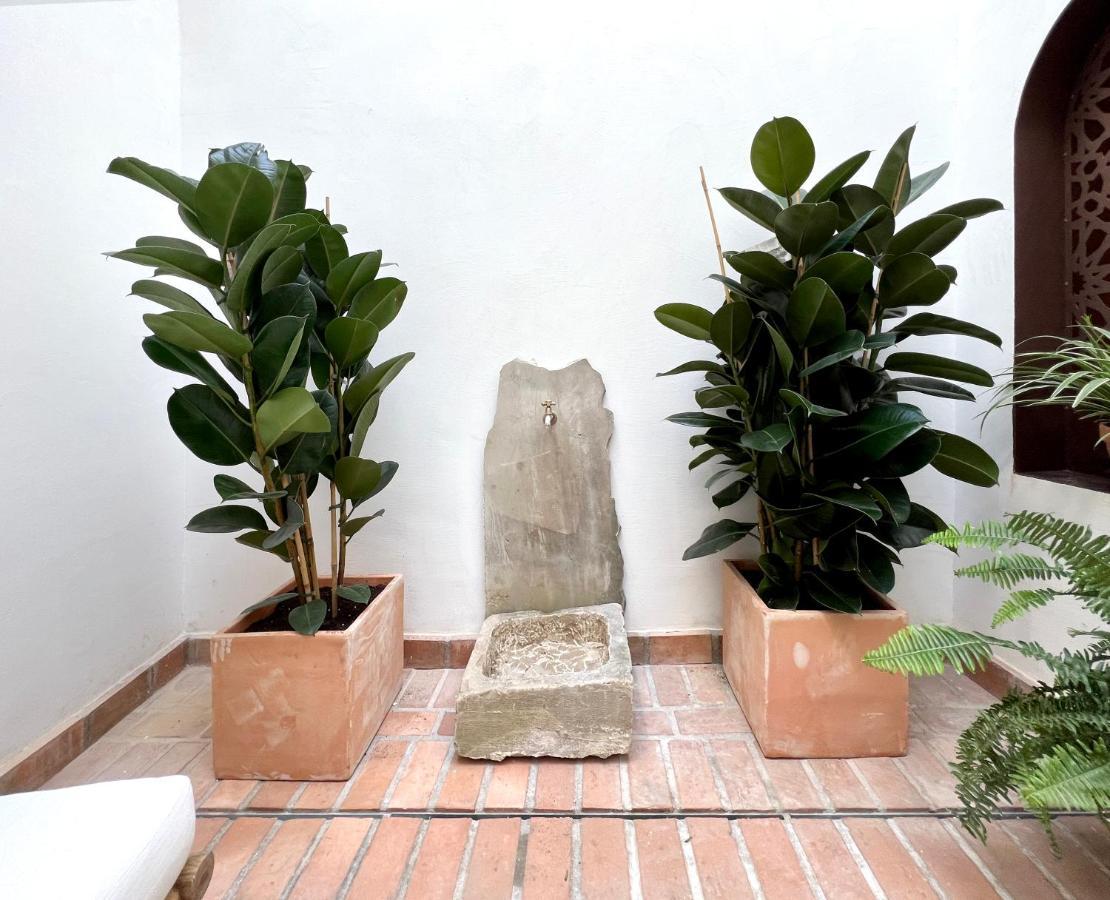 Arcos De Medina - Apartamentos Premium Córdoba Eksteriør billede